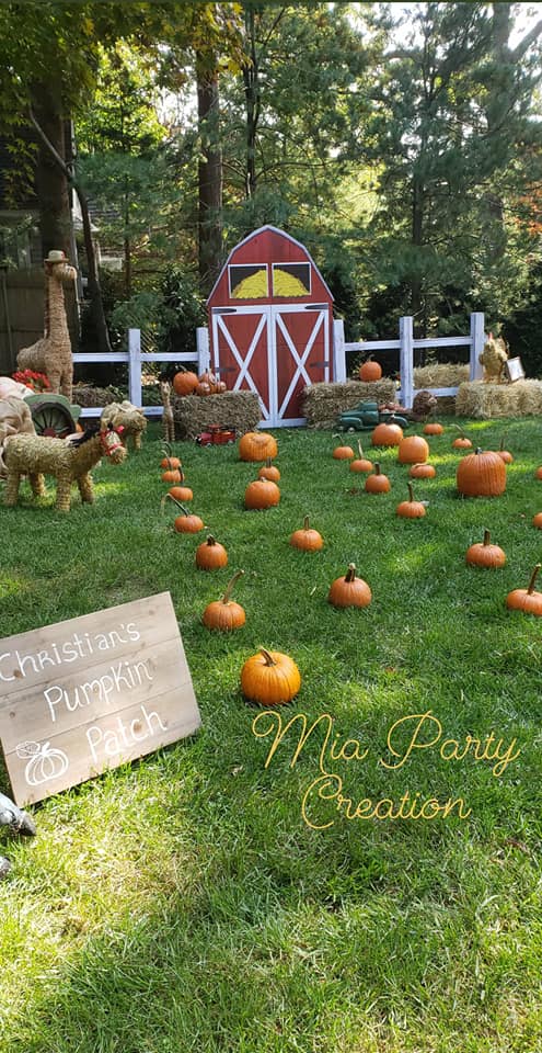 birthday party pumpkin patch
